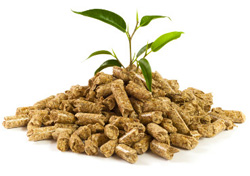 Il pellet